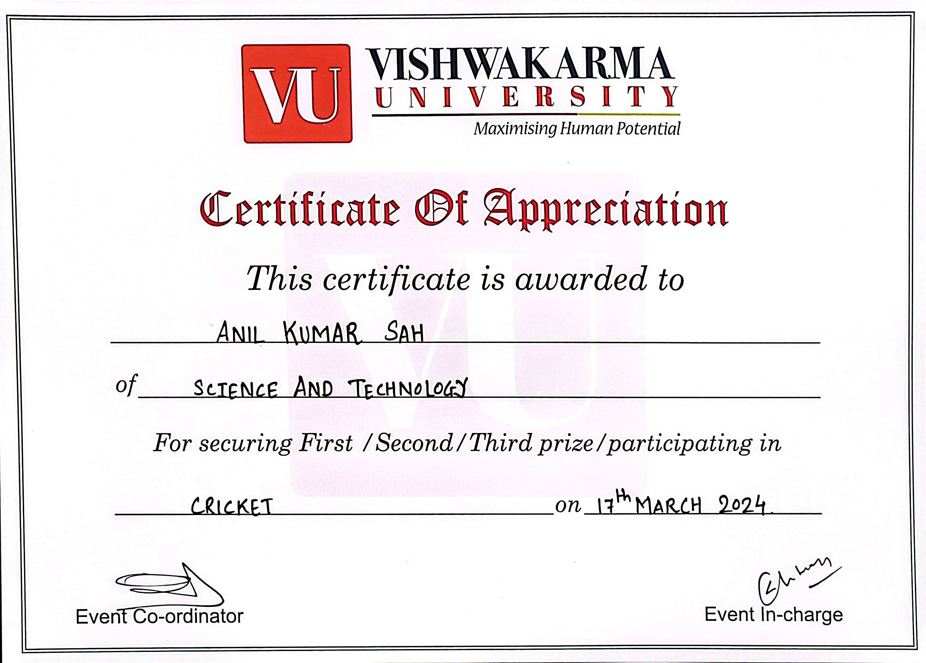 Cricket Participation Certificate