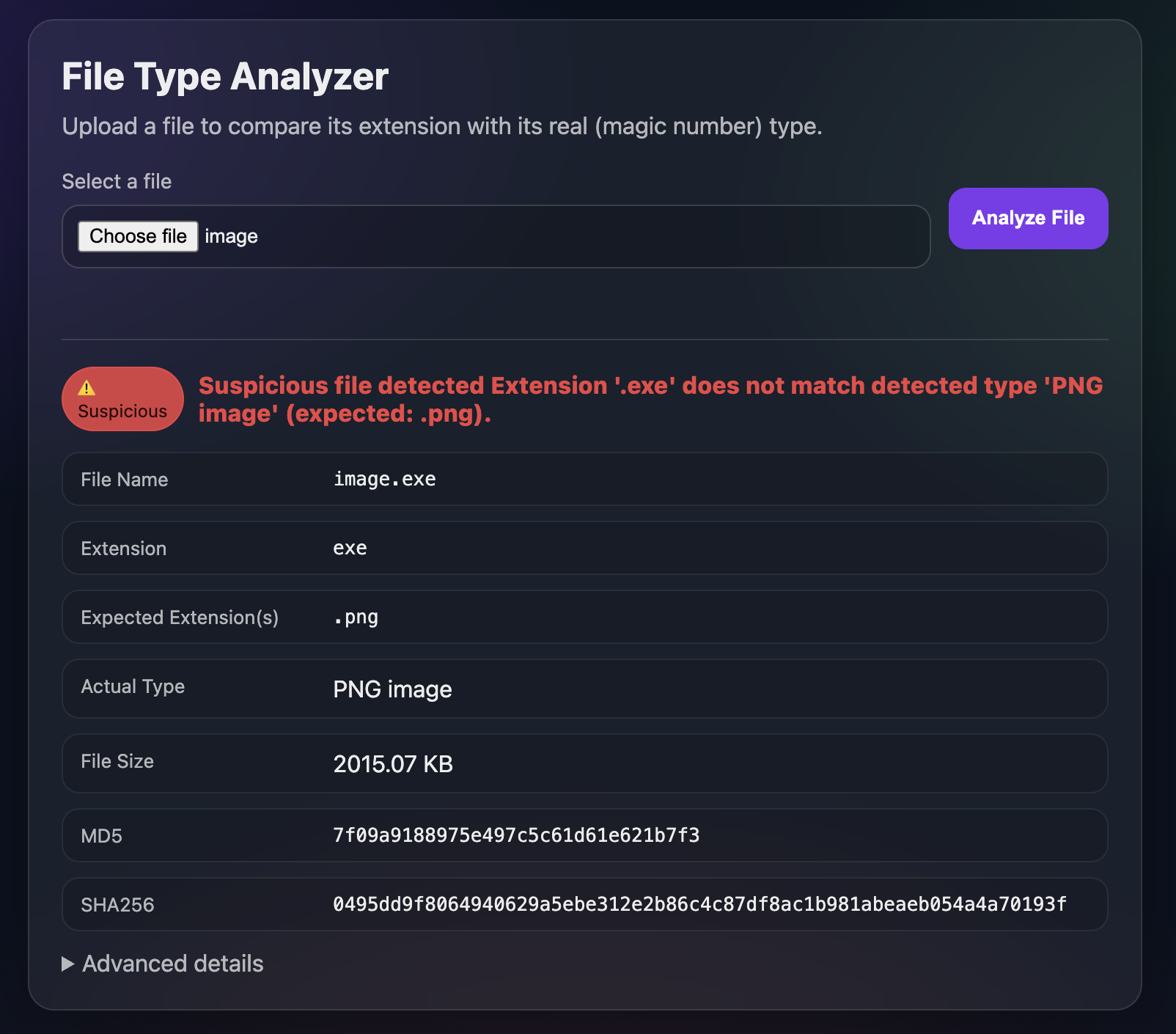 File Type Analyzer project screenshot